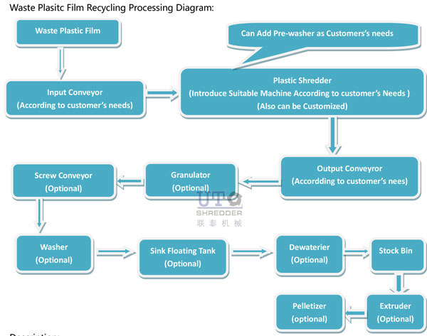 film-processing-web.jpg